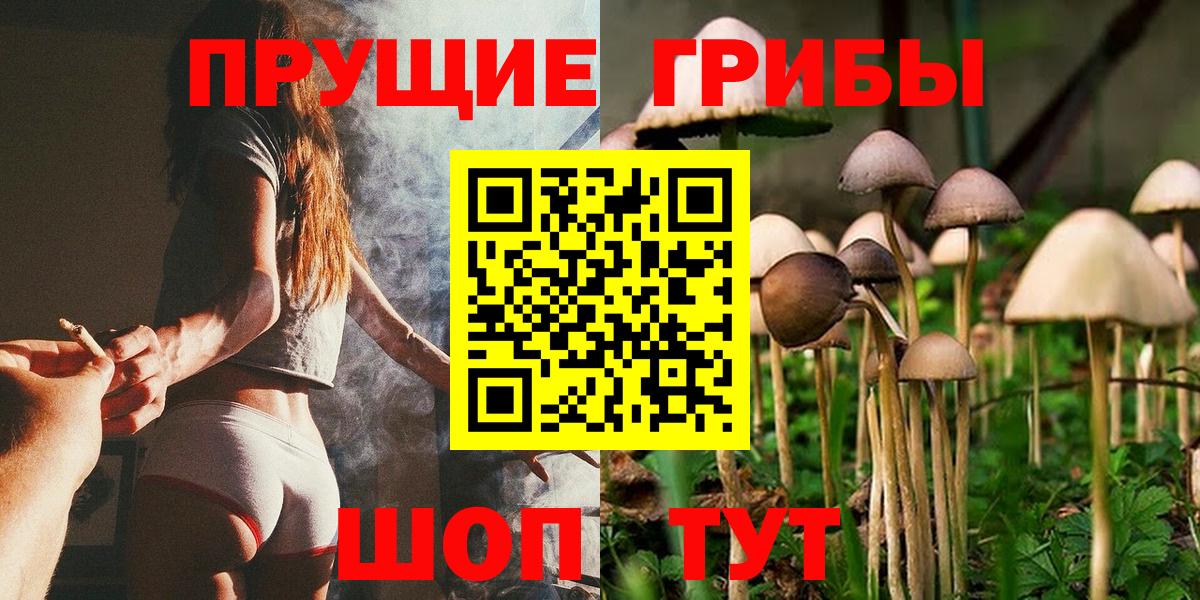 Вольск  наркошоп  Галлюциногенные грибы прущие грибы  Вход с VPN  Галлюциногенные грибы Psilocybine cubensis 